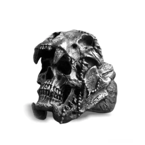 Edelstahl Gothic Totenkopf Biker Ring mit bedrohlichen Säbelzahnfängen und rituellen Totem-Schnitzereien, Schrägansicht auf weißem Hintergrund