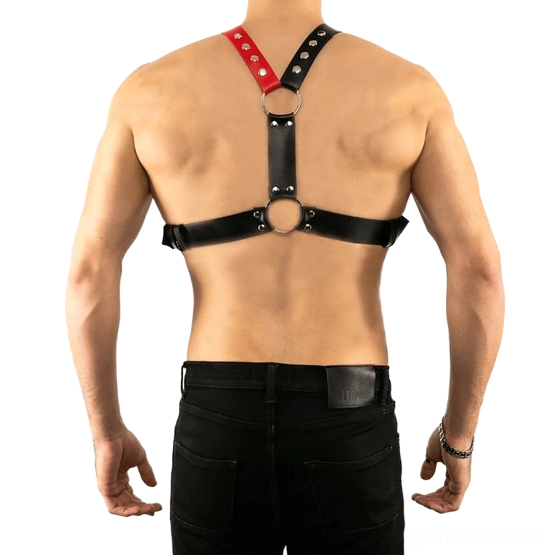 Herren Leder-Harness Schwarz & Rot, Rückansicht mit Y-förmigem Design, Nieten-verzierte Schulterriemen, zentraler O-Ring hinten, Gothic Chest Harness Structure
